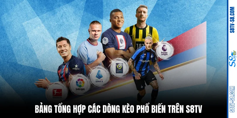 Bảng tổng hợp các dòng kèo phổ biến trên S8TV