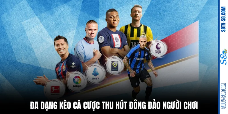 Đa dạng kèo cá cược thu hút đông đảo người chơi