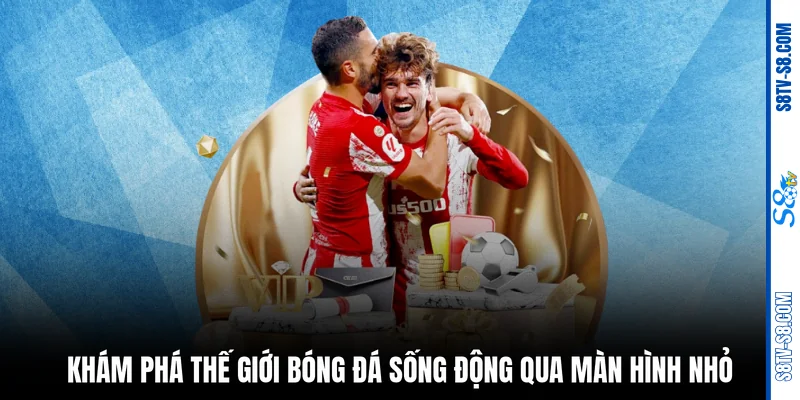 Khám phá thế giới bóng đá sống động qua màn hình nhỏ