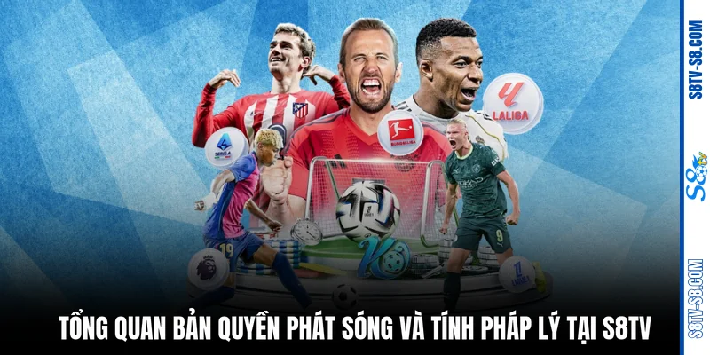 Tổng quan bản quyền phát sóng và tính pháp lý tại S8TV